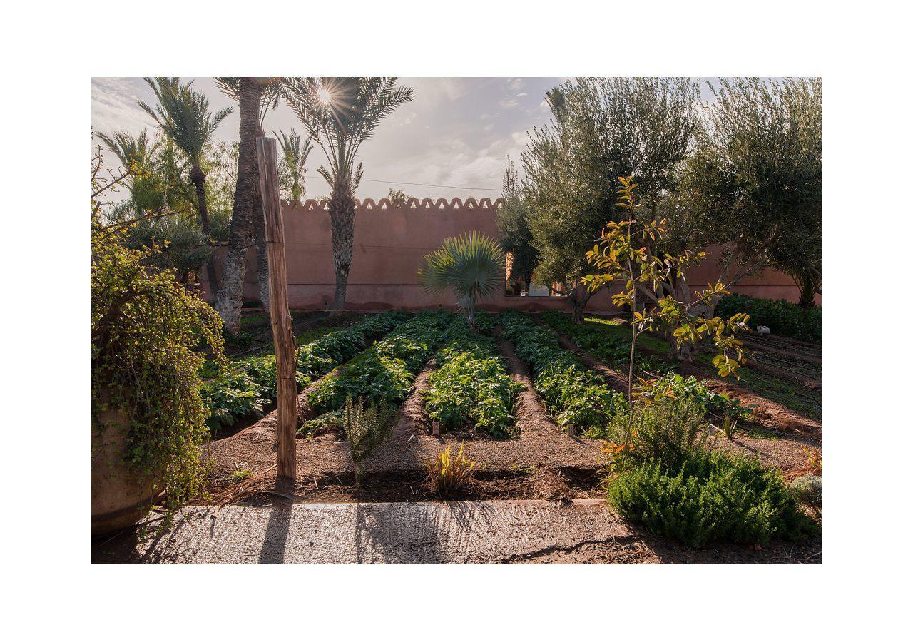 Villa 55 Marrakech 마라케시 외부 사진