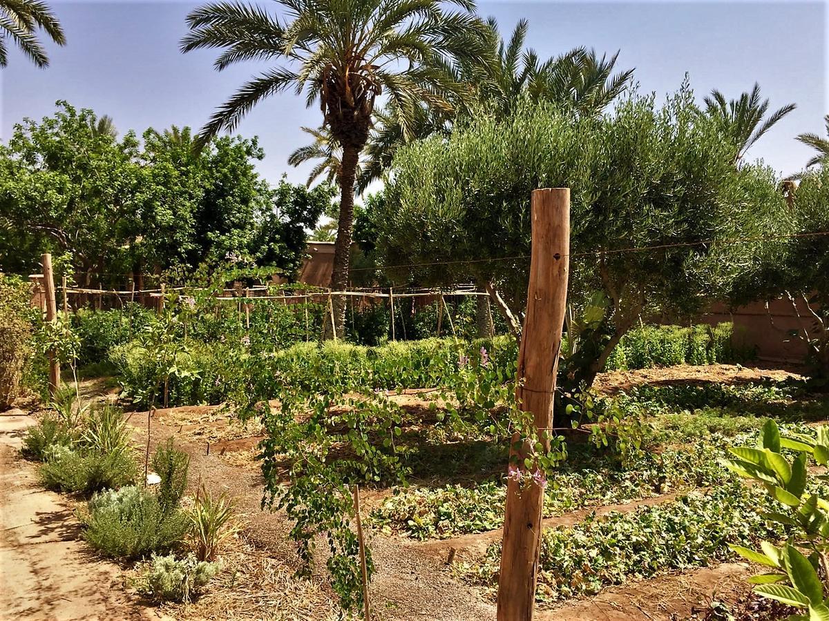 Villa 55 Marrakech 마라케시 외부 사진
